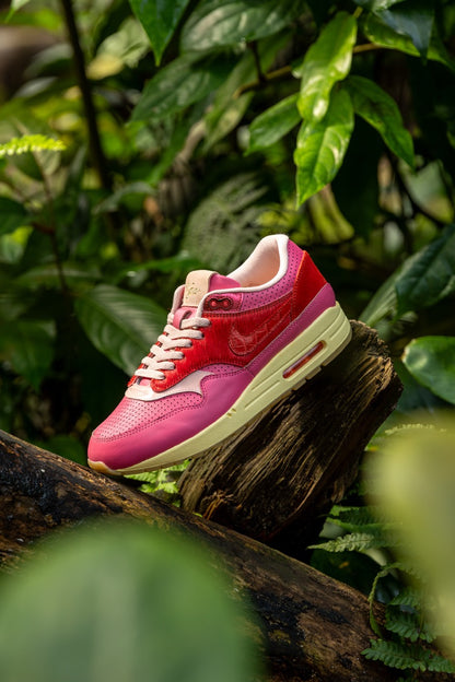 Air Max 1 - Kid Robot F&F