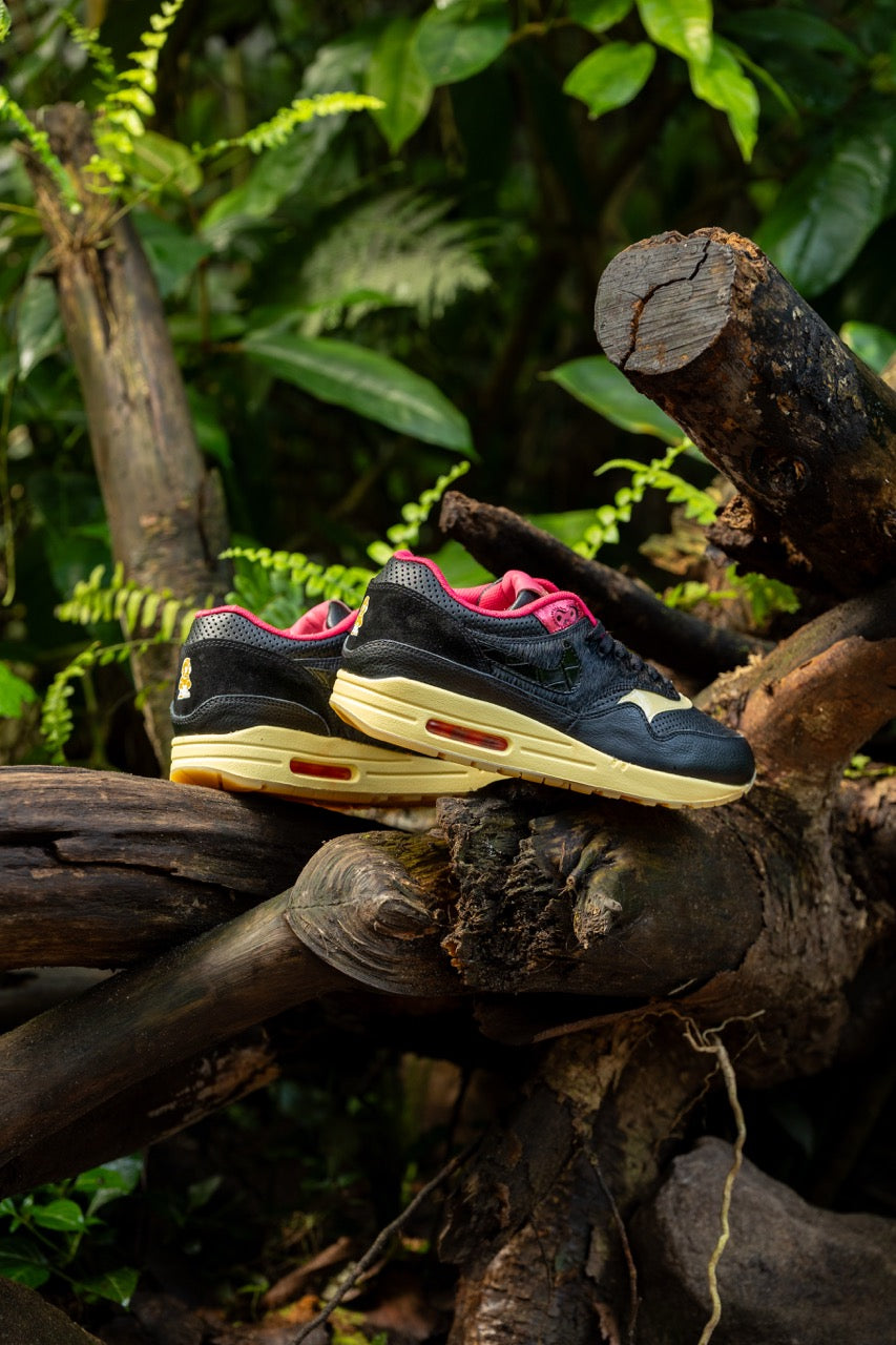 Air Max 1 - Kid Robot