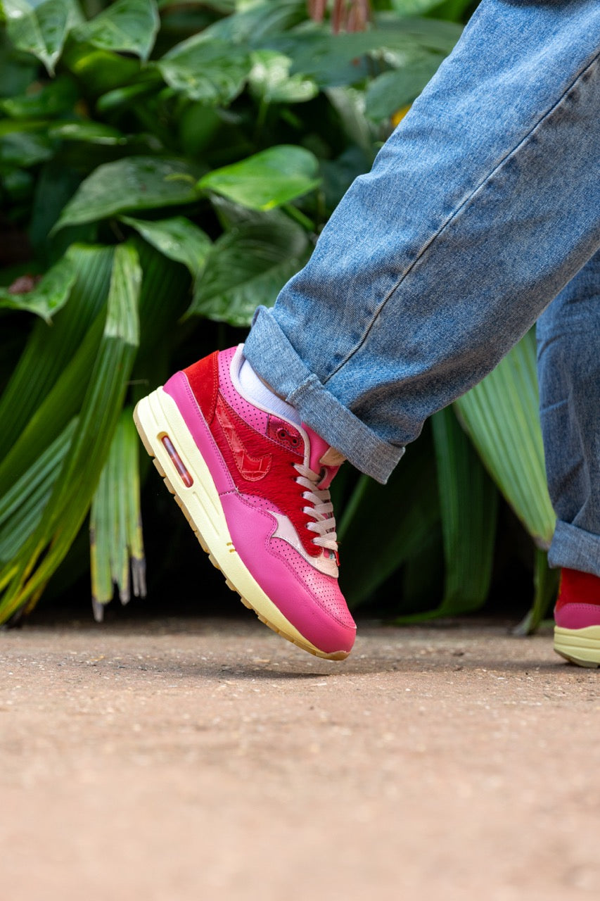 Air Max 1 - Kid Robot F&F