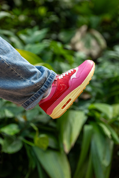 Air Max 1 - Kid Robot F&F