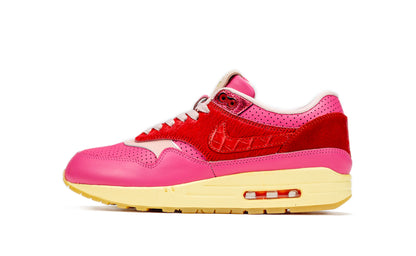 Air Max 1 - Kid Robot F&F