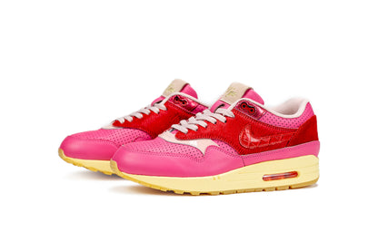 Air Max 1 - Kid Robot F&F