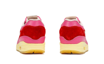 Air Max 1 - Kid Robot F&F